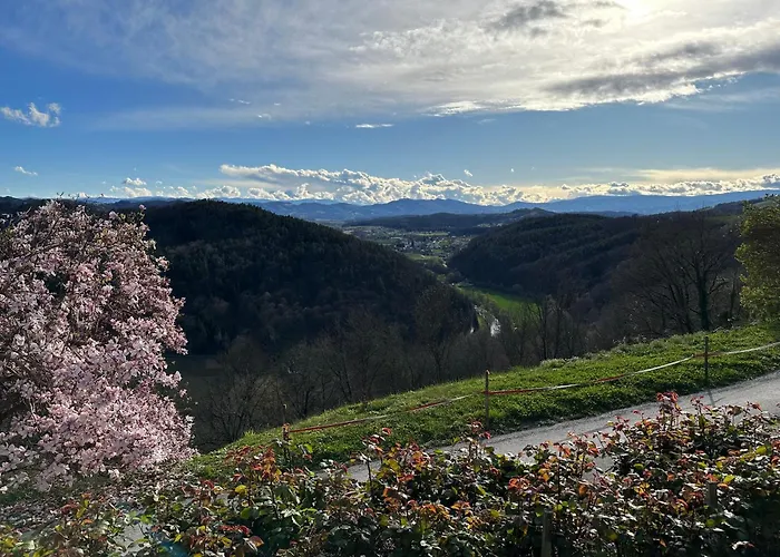 Vakantiehuis Winzerhaus Roemerstrasse Kitzeck im Sausal